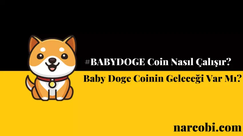 Baby Doge Coin (BABYDOGE) Nedir?